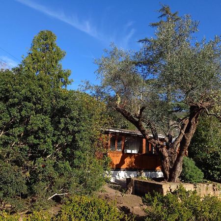 Parco Delle Streghe Villa Scarlino Ngoại thất bức ảnh