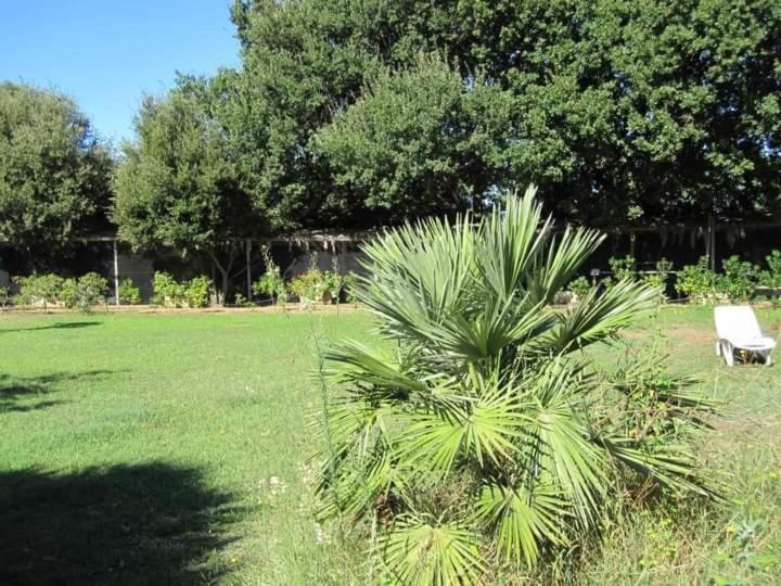 Parco Delle Streghe Villa Scarlino Ngoại thất bức ảnh