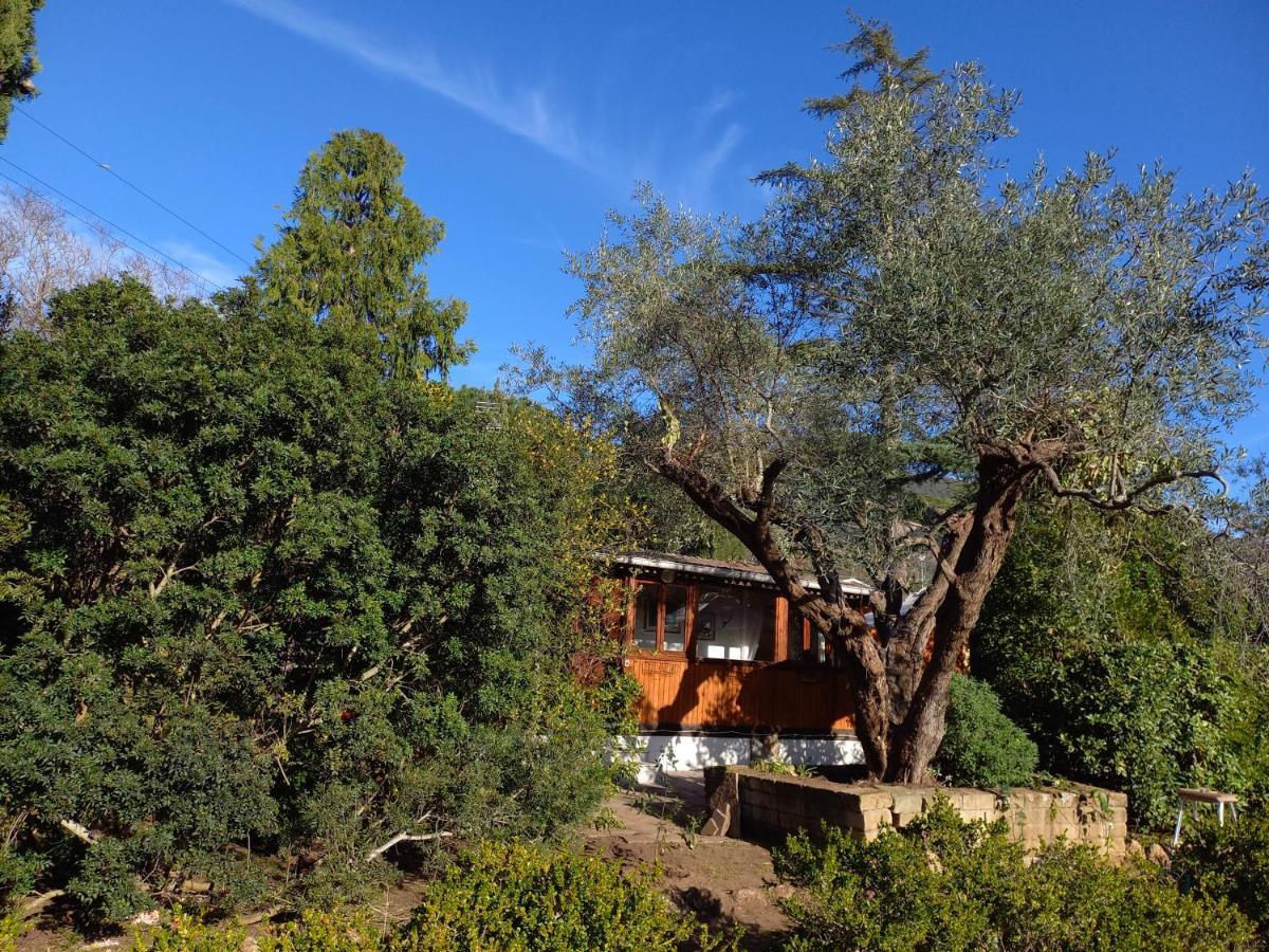 Parco Delle Streghe Villa Scarlino Ngoại thất bức ảnh