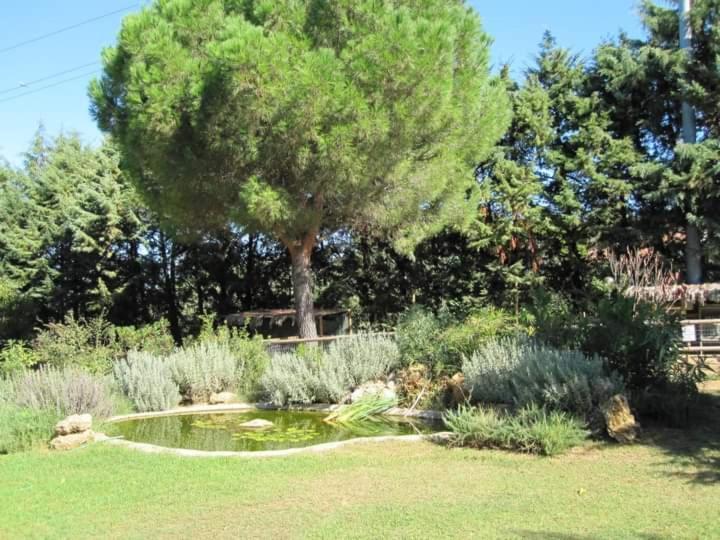Parco Delle Streghe Villa Scarlino Ngoại thất bức ảnh