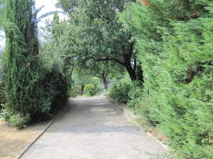 Parco Delle Streghe Villa Scarlino Ngoại thất bức ảnh