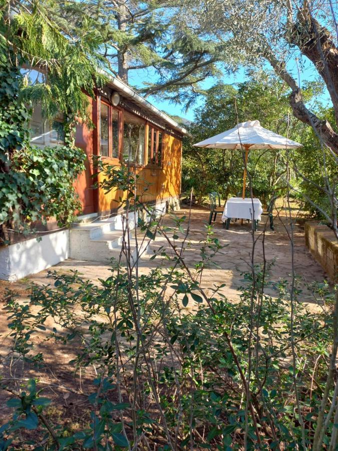 Parco Delle Streghe Villa Scarlino Ngoại thất bức ảnh