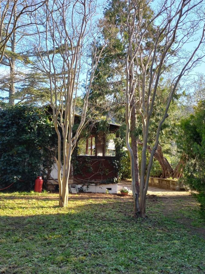 Parco Delle Streghe Villa Scarlino Ngoại thất bức ảnh